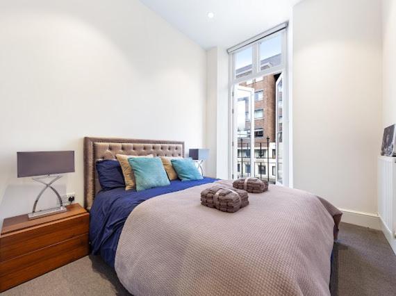 Harley Street Luxury Snug Appartement Londen Buitenkant foto