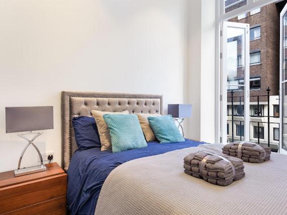 Harley Street Luxury Snug Appartement Londen Buitenkant foto
