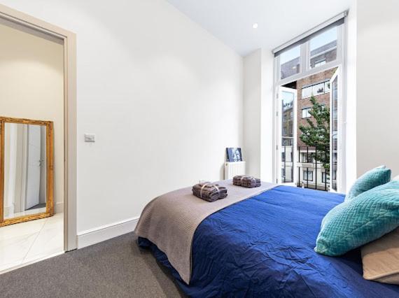 Harley Street Luxury Snug Appartement Londen Buitenkant foto