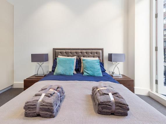 Harley Street Luxury Snug Appartement Londen Buitenkant foto